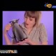 ترفنداشپزخانه ای 