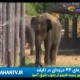 گرمای۴۴درجه ای درتایلند