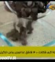 موز شکلاتی یخی 