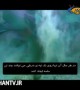 غذاخوردن عجیب طوطی ماهی ها