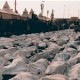 تشریح آخرین وضعیت انتقال جان باختگان و مجروحان فاجعه منا