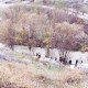 12 کشته و مفقود و 6 مجروح؛ آمار نهایی حادثه دلخراش هراز + تصاویر و اسامی