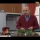 خواصیت های سبزی پاک کردن