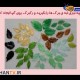 ساخت لوستربابطری یکبار مصرف