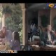 سبک زندگی