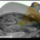 فراصوت، راه حل جدیدی برای خروج از حالت کما