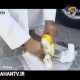میوه جادویی که اماراتی هاراترساند