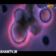 مواد غذایی مفید برای تقویت قدرت دستگاه ایمنی