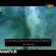 غذاخوردن عجیب طوطی ماهی ها
